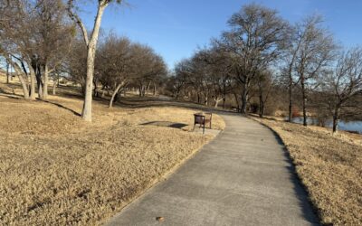 There’s a Beauty in Winter